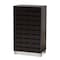 Baxton Studio Ernest Modern and Contemporary Dark Brown Finished Wood 2-Door Shoe Storage Cabinet 178-11027-Zoro - alternate 1